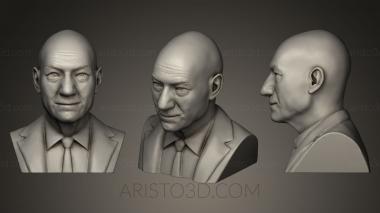 Busts and bas-reliefs of famous people (BUSTC_0506) 3D model for CNC machine